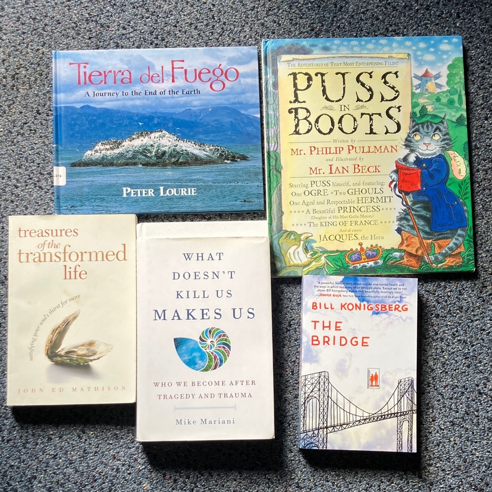 5 books - PUSS IN BOOTS Treasure of Transformed life WHAT DOESN’T KILL US Bridge